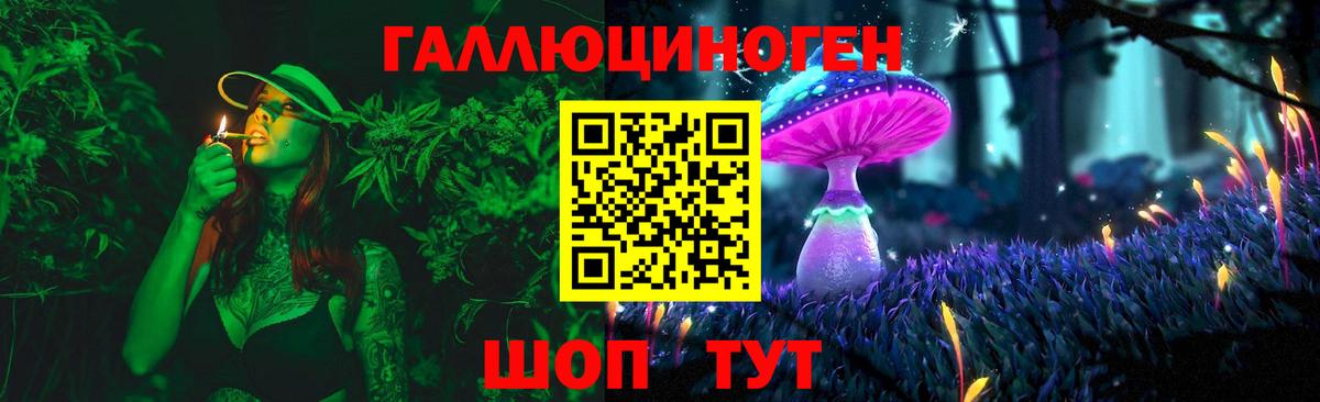 Галлюциногенные грибы Psilocybe Советская Гавань