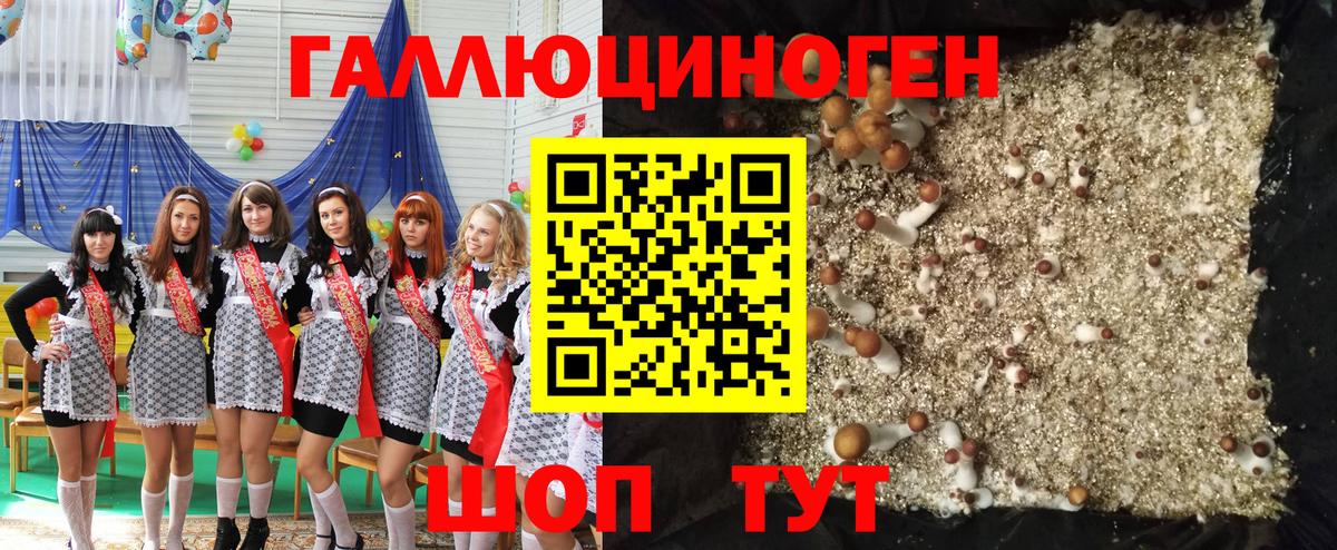 Галлюциногенные грибы ЛСД  Вход с VPN  Советская Гавань 